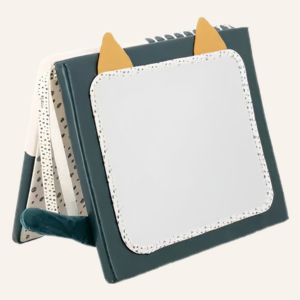 miroir sensoriel