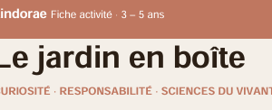 Ce qui grandit sans bruit