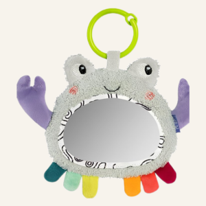 Miroir d'activité Crabe — Fehn